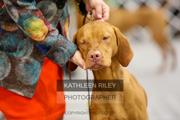 2022-KathleenRileyPhotography-1561