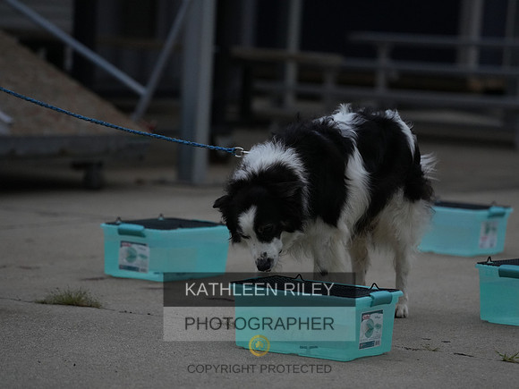 2022-KathleenRileyPhotography026