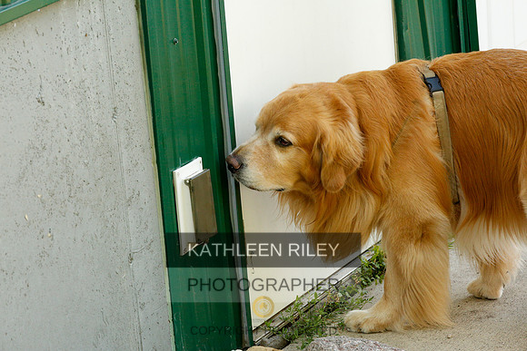 2022-KathleenRileyPhotography-0254