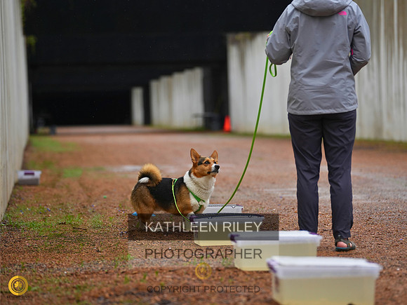 RileyPhoto-TSK08642-05142023