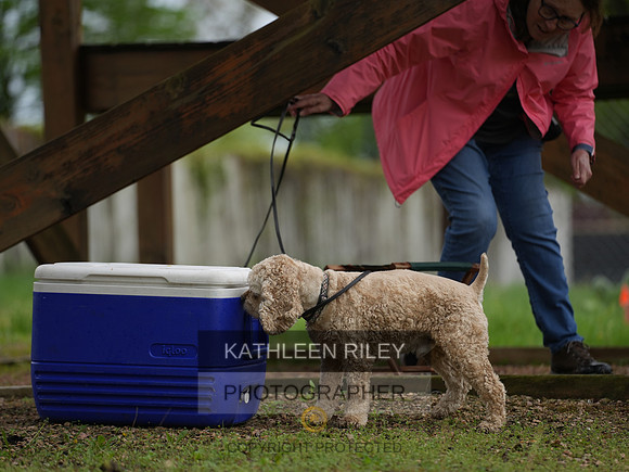 TSK09827