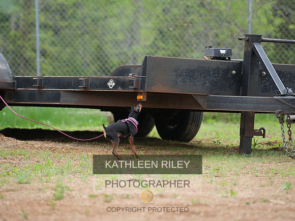 TSK06602