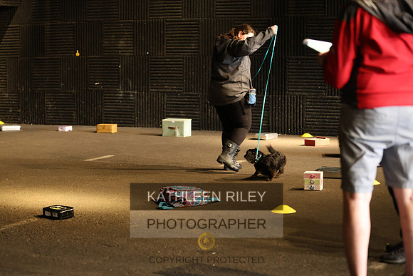 SJLT5633