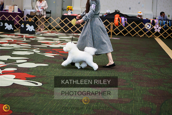 RileyPhoto-KARD1790-Enhanced-SR-20230504