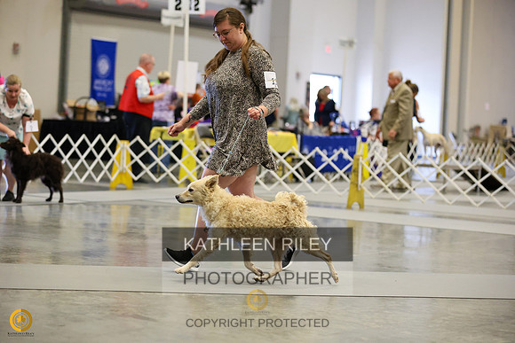 SJLT8110
