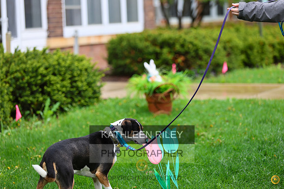 20230514-RileyPhoto-SJLT7132