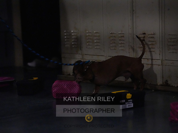 2022-KathleenRileyPhotography189