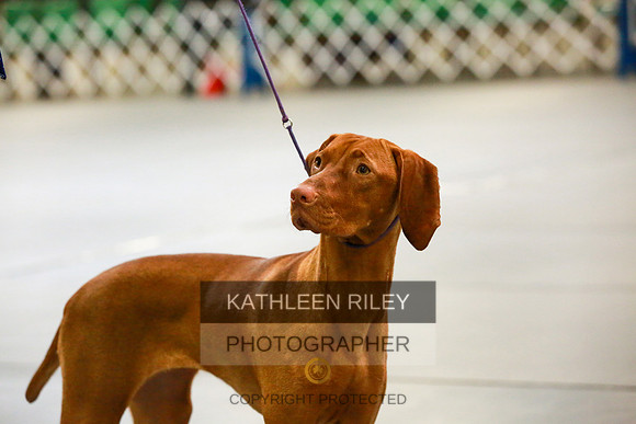 2022-KathleenRileyPhotography-8777