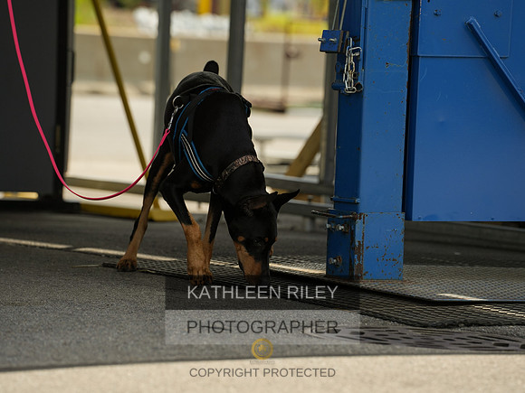 2022-KathleenRileyPhotography-04359
