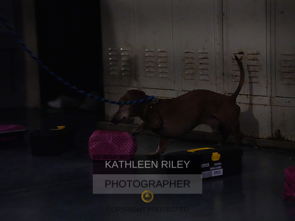 2022-KathleenRileyPhotography191
