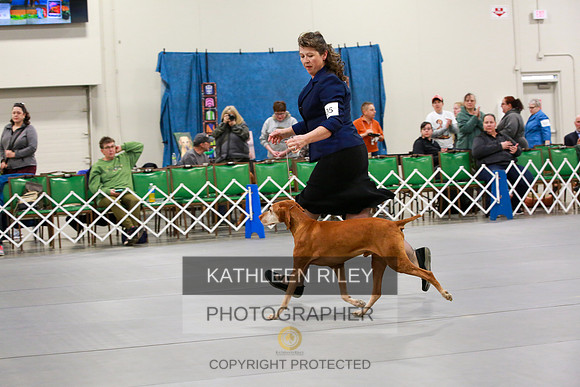2022-KathleenRileyPhotography-8037