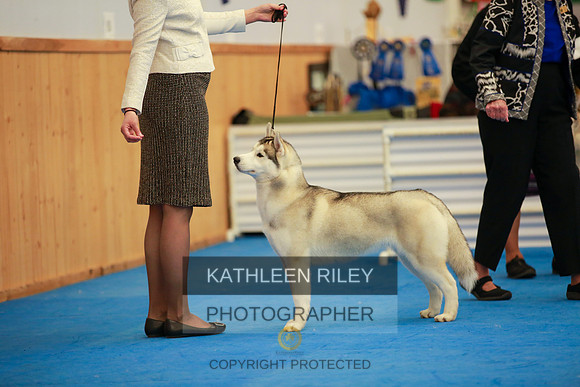 2022-KathleenRileyPhotography-6250