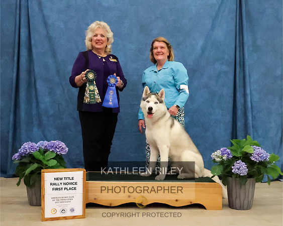 NEW TITLE RALLY NOVICE FIRST PLACE