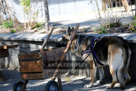 2022-KathleenRileyPhotography-3680 (1)