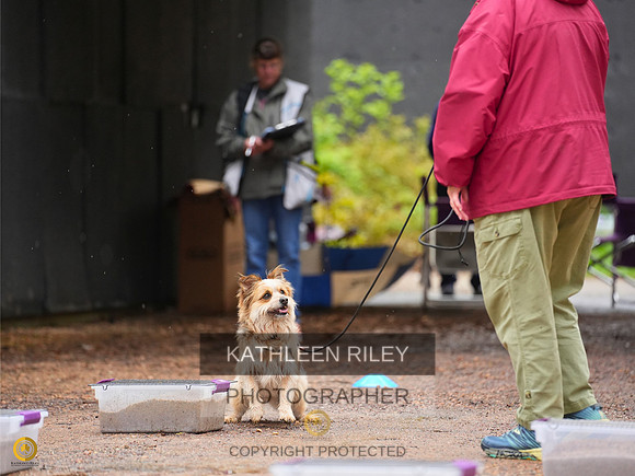 20230514-RileyPhoto-TSK09148
