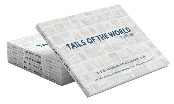Tails-of-the-World-Vol2-mockup