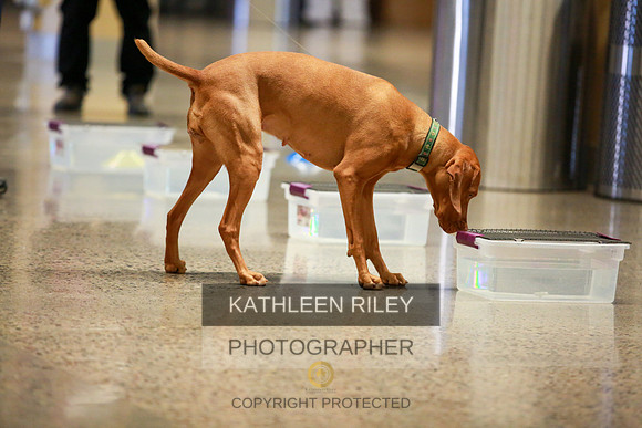 2022-KathleenRileyPhotography-7505