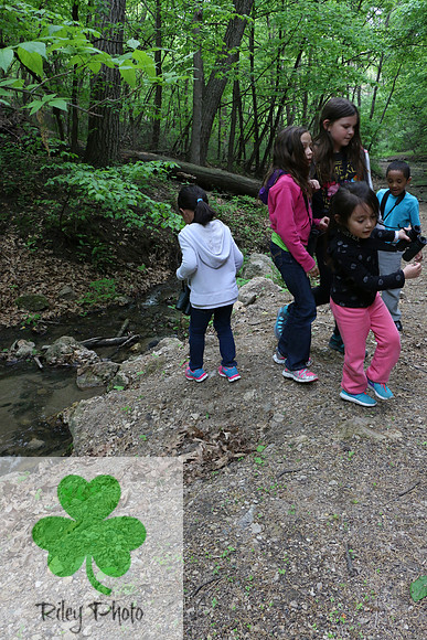 Minnesota Master Naturalist Explorers || Kathleen Riley Photography
