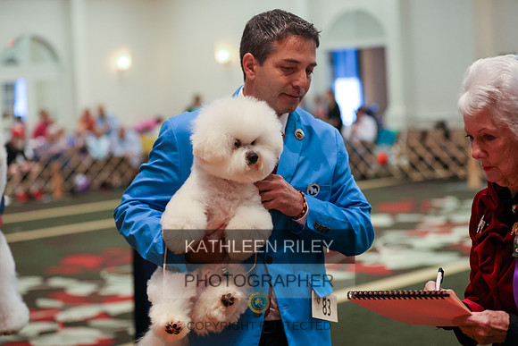 SJLT1543-Enhanced-SR-20230504