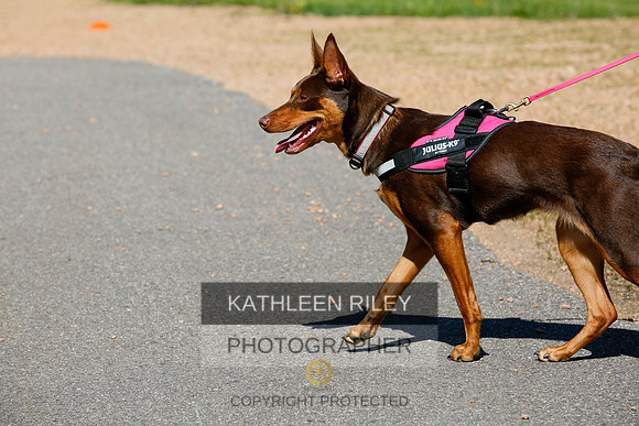 2022-KathleenRileyPhotography-4018