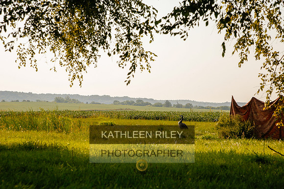 2022-KathleenRileyPhotography-5465