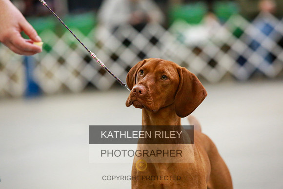 2022-KathleenRileyPhotography-8783