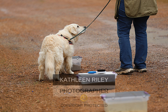 SJLT7247