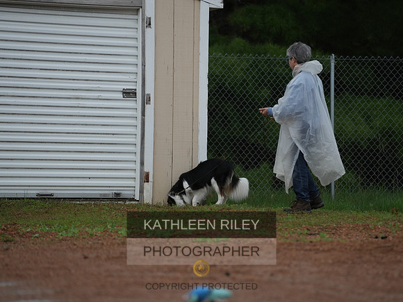 TSK06897