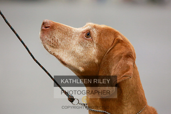 2022-KathleenRileyPhotography-8148