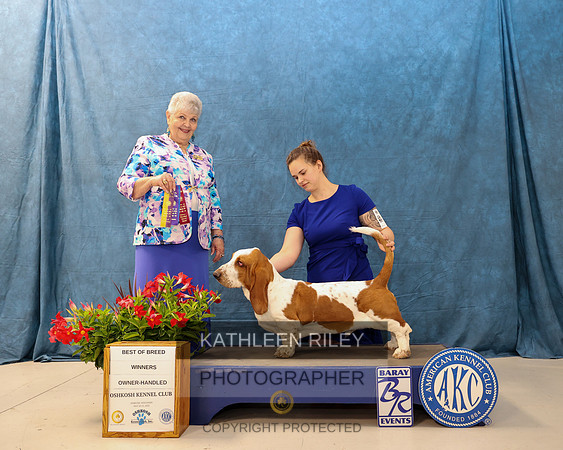 WGMC9883-20230520
