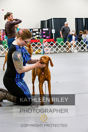 2022-KathleenRileyPhotography-6995