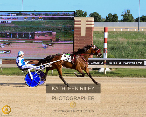 20230611-KARD6252 MN BRED NON BETTING  IRON SHARPENS IRON