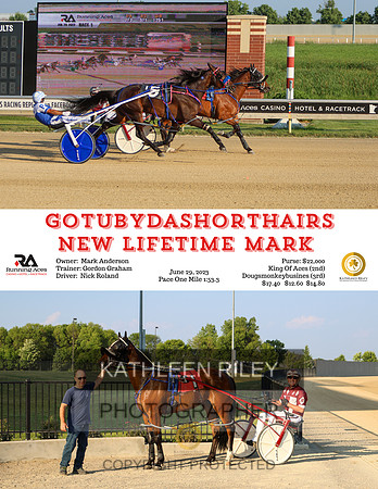 2023 RA R01 Gotubydashorthairs June 29 2023  8.5x11
