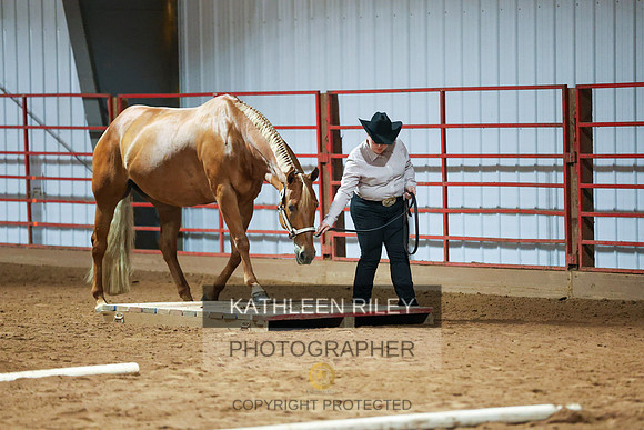 20230617-SJLT6206