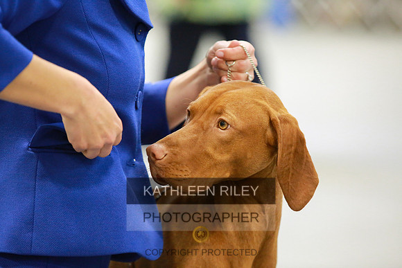 2022-KathleenRileyPhotography-8547