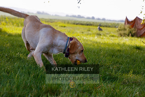2022-KathleenRileyPhotography-5458