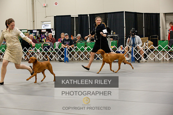 2022-KathleenRileyPhotography-0570