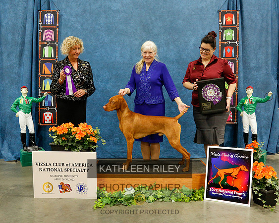 2022-KathleenRileyPhotography-7583