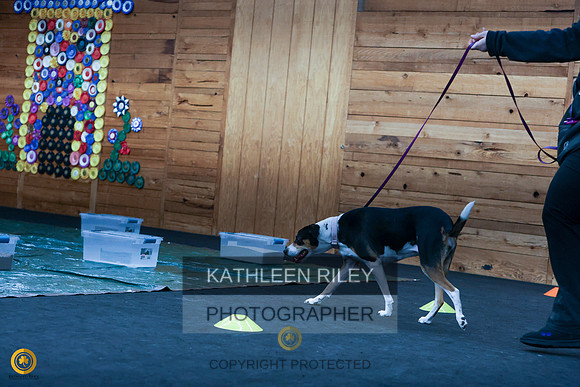 1N5A2447