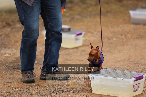 SJLT7406
