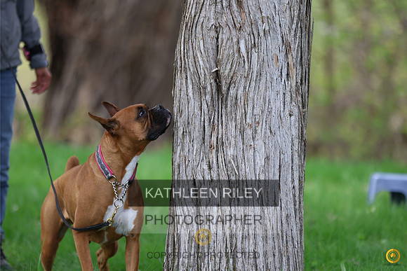 20230514-RileyPhoto-SJLT6331 (1)