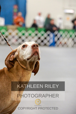 2022-KathleenRileyPhotography-8031