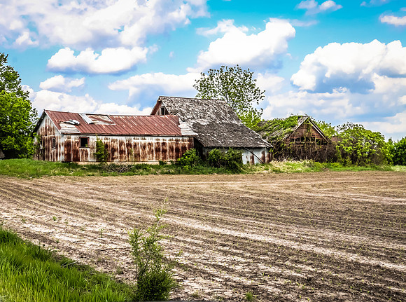 Dayton Minnesota Barn