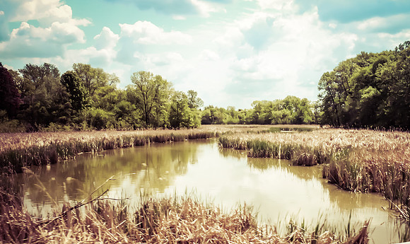 Kathleen Riley Photography Chanhassen Minnesota