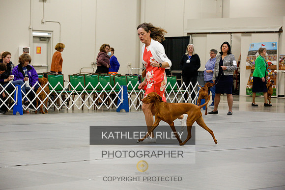 2022-KathleenRileyPhotography-9552