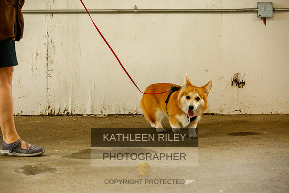 2022-KathleenRileyPhotography-9362