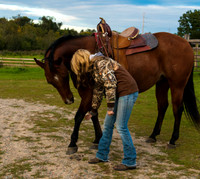 McDaniel Farm Shoot