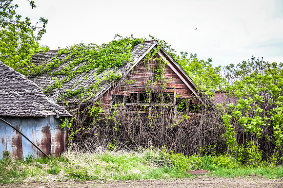 Dayton Minnesota Barn