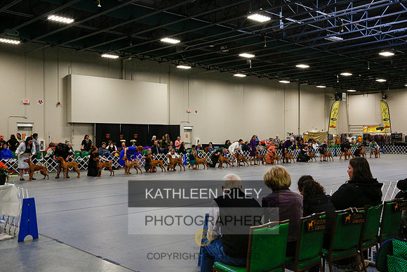 2022-KathleenRileyPhotography-6155