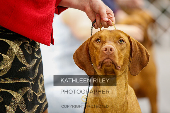 2022-KathleenRileyPhotography-1534